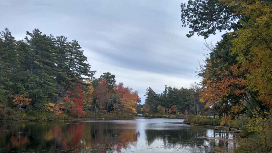 The Lake in the Fall in Barrington, New Hampshire