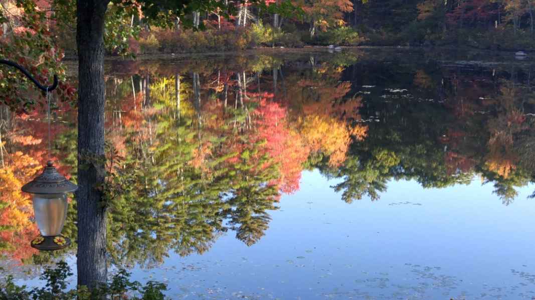 Reflection of Trees in Lake in Barrington, New Hampshire