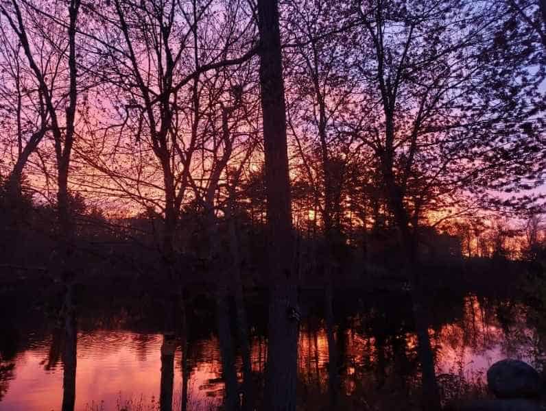 Beautiful Pink Sunset Behind Trees at Lake in Barrington, New Hampshire