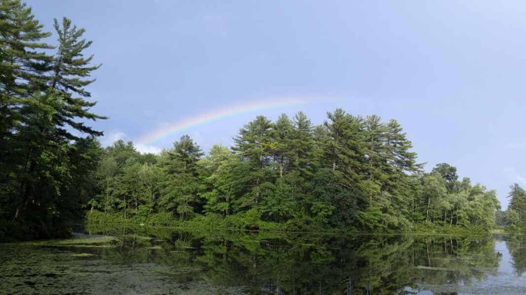 Rainbow Above Trees Near Lake in Barrington, New Hampshire