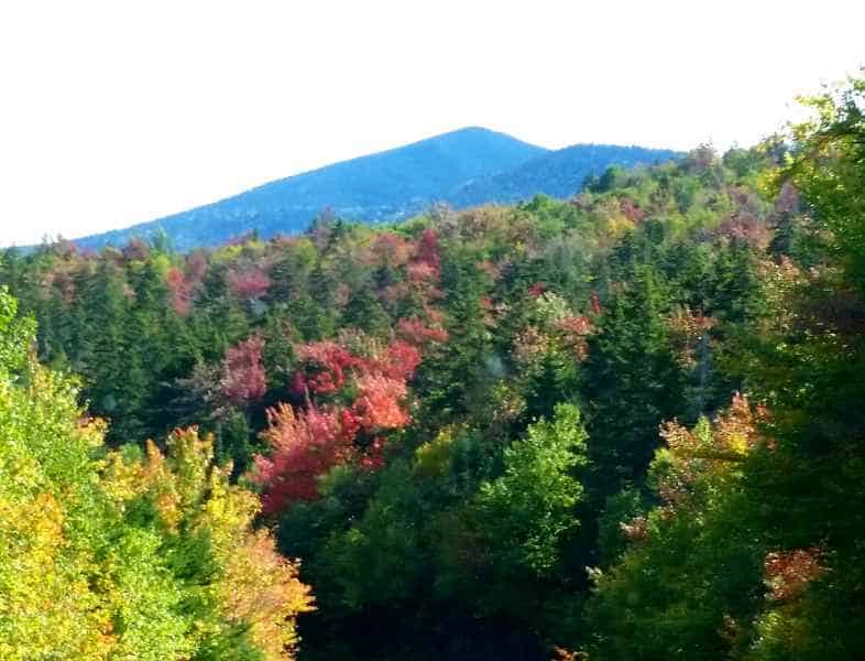 Fall in New Hampshire from Lisa Hoffman