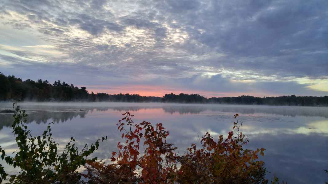 Fall Foliage at the Lake in Barrington from Lisa Hoffman