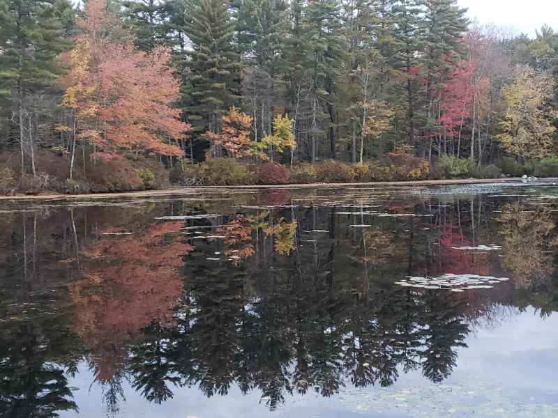 Fall Foliage at The Lake in Barrington from Lisa Hoffman