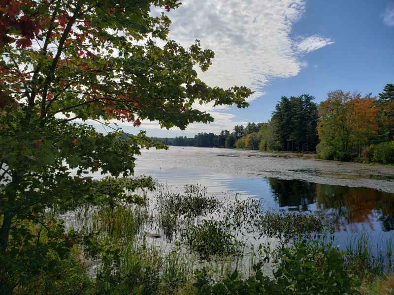 Fall Foliage at the Lake in Barrington