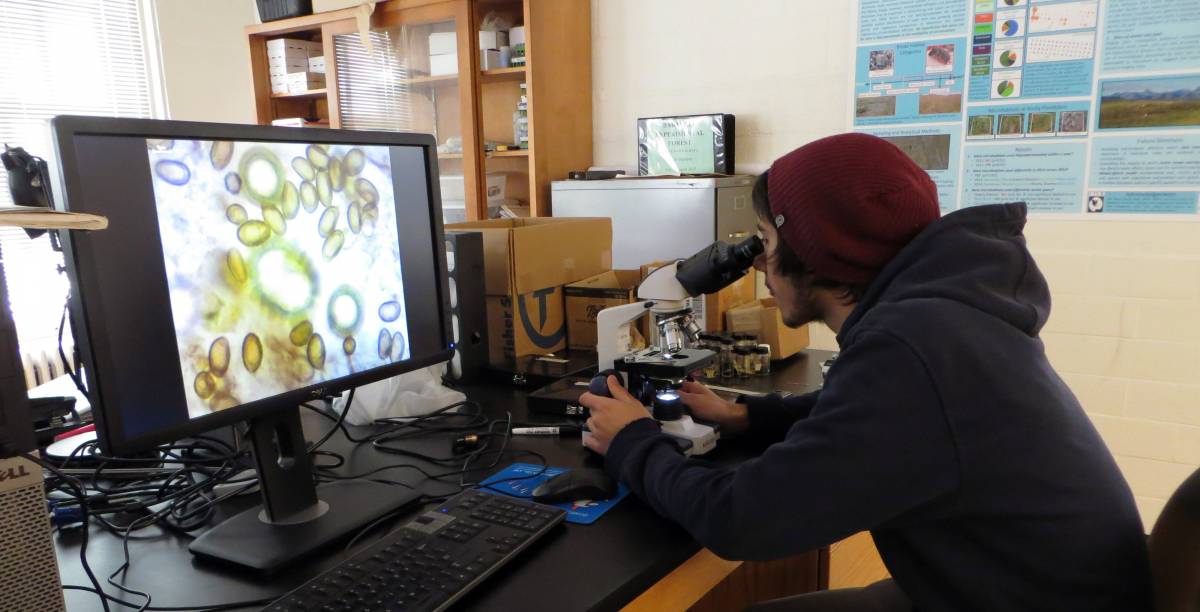 Ryan Stephens analyzes one of more than 1,200 scat samples collected from small mammals at the Bartlett Experimental Station in the White Mountain National Forest to determine the types and amounts of spores they are dispersing. (Credit: UNH)