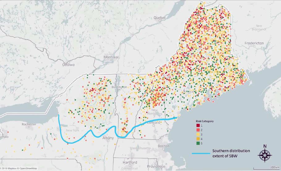 Approximate location of US Forest Service Forest Inventory and Analysis (FIA) plots in the northeastern United States. Credit: John Gunn/UNH